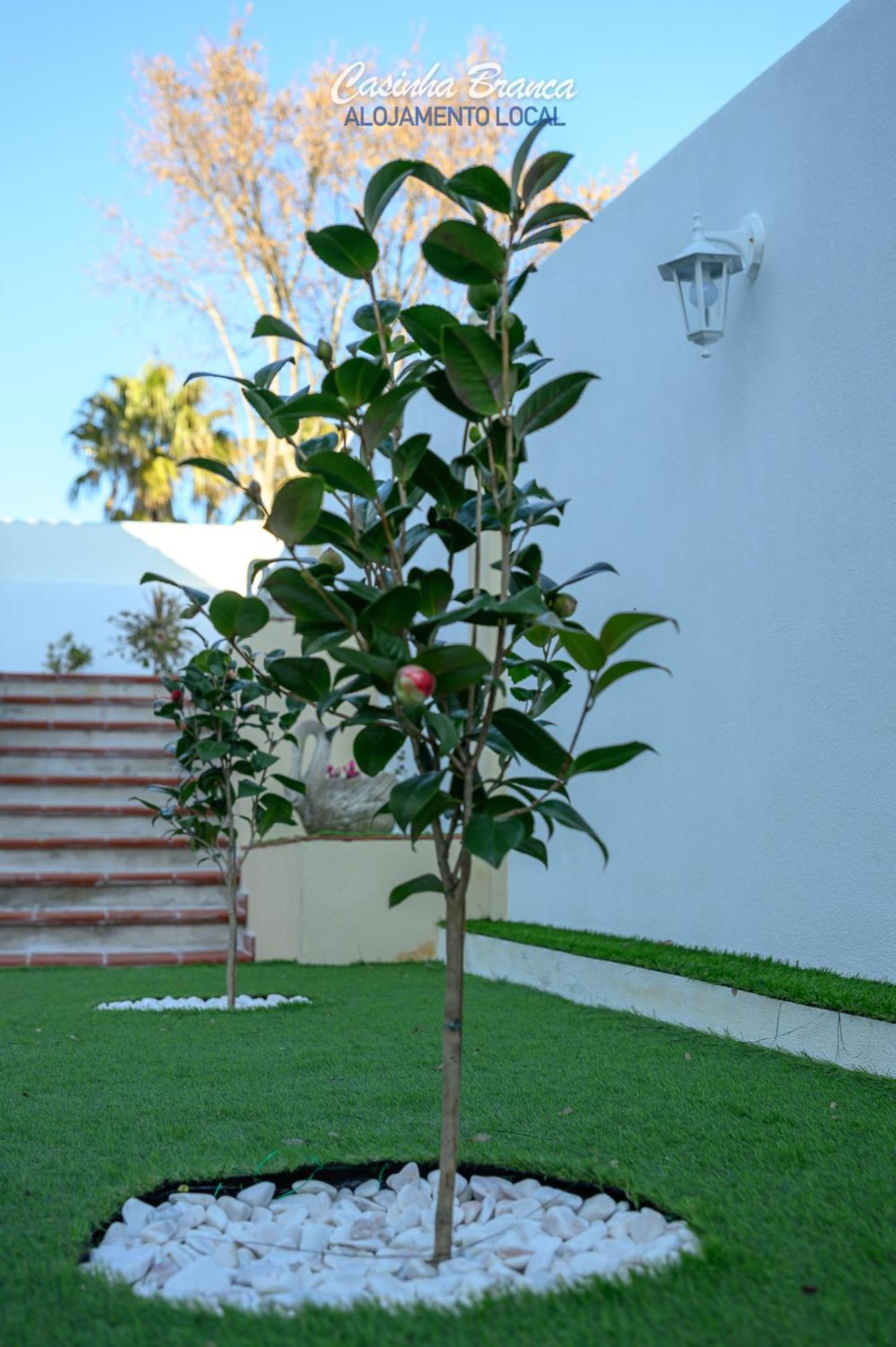 Casinha Branca Hotel Fundao Ngoại thất bức ảnh